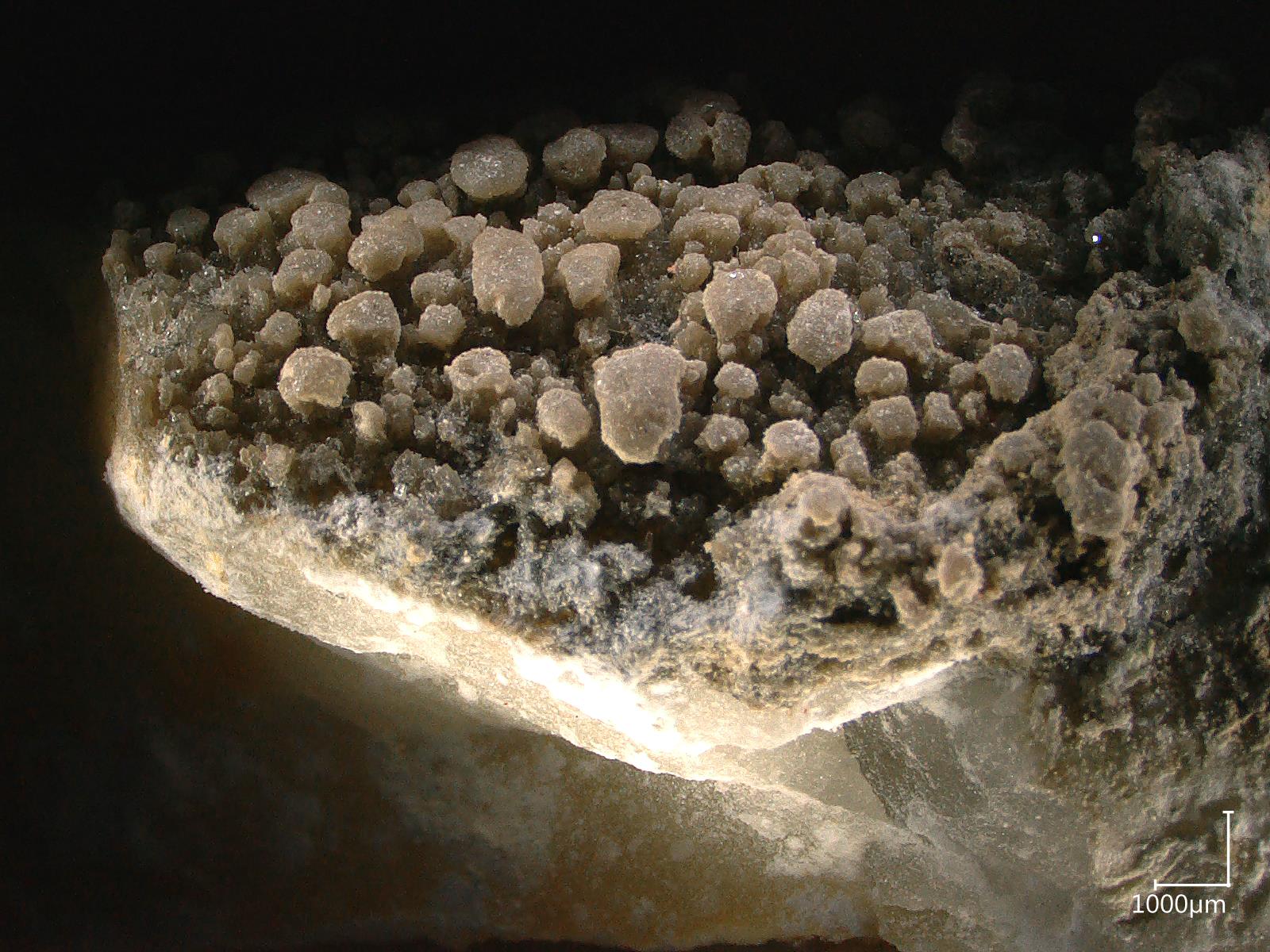 Croûte noire vue au microscope 3D