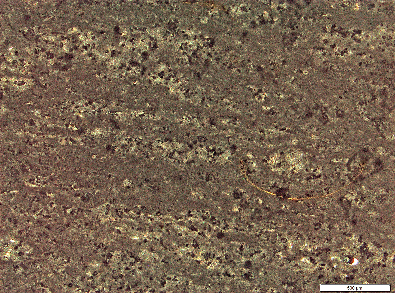 Calcaire lacustre