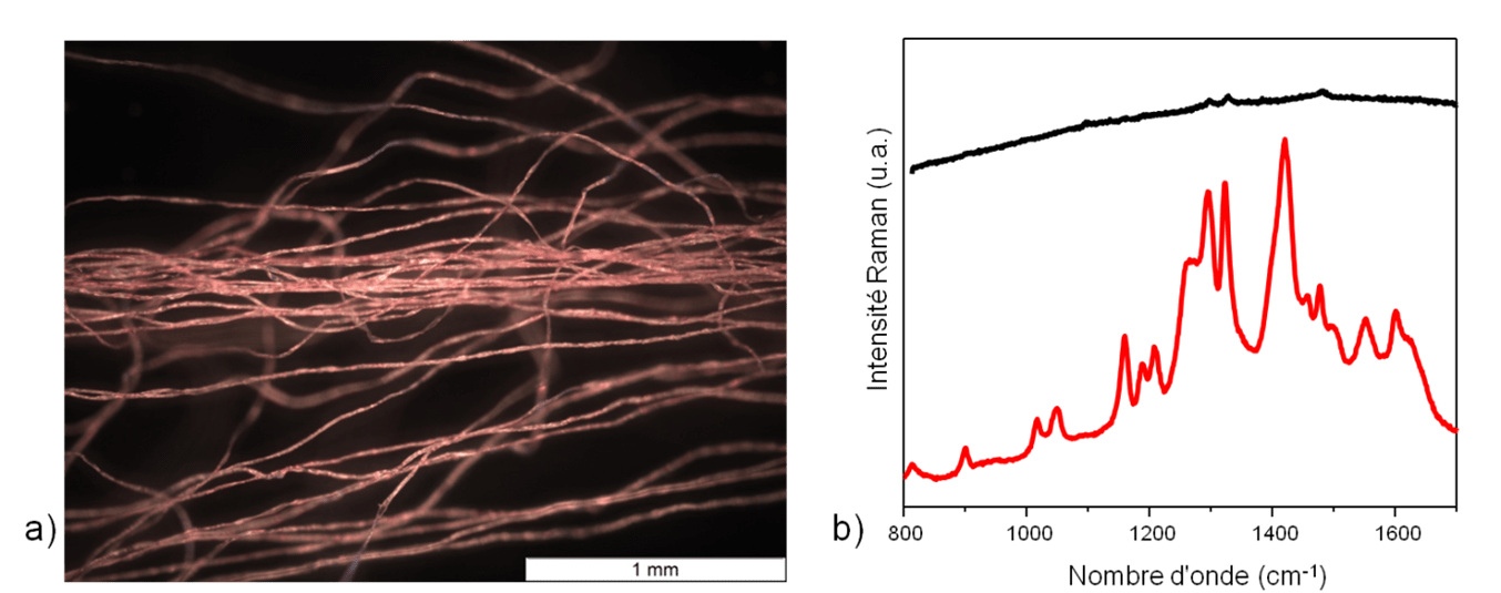 Fibres - Spectres Raman